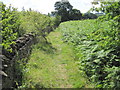 Footpath from Thorpes to Denby Dale in HD8 9DH