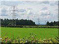 Power lines and Scot's Dike in DG14 0TF
