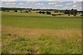 Landscape to the north of Ragley Hall in B49 5NJ