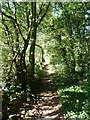 Footpath towards The Warren in BR5 3LT