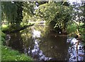 The River Derwent, West Ayton in YO13 9JJ