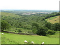 View towards Llanharan from Mynydd Meiros in CF72 9NG