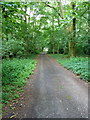 Apley Park track in The Knolls Coppice in TF11 9EE