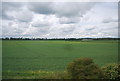 Wheat field by the West Coast Main Line in LU7 0QN