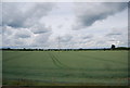 Pylon in a wheat field in LU7 0QD