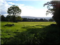 Field near Bridestowe in EX20 4EF
