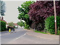 The Street, Gosfield, Essex in CO9 1TB