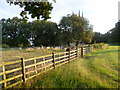 Looking towards the churchyard of All Saints, Conington in Conington