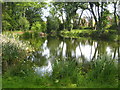 Pond in Mill Lane Sindlesham in RG41 5BJ