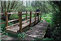 Footbridge on the 1066 Country Walk in TN33 0SB