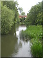 The River Loddon at Loddon Bridge in RG6 7YA