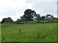 Ponies and some old farm buildings near Llandough in CF71 7LR