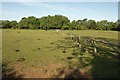 Fence across pasture north of Home Farm in CV35 9HX