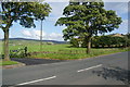 Where the Pendle Way crosses Halifax Road in BB10 2JF