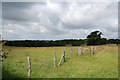 Fields near Hook Wood2 in TN21 9QU