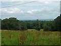 View north-west from Hever Lane in Cowden and Hever Ward