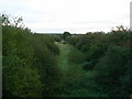 Trackbed of Fairford to Witney railway facing north-east in OX29 7PD
