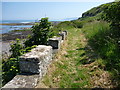 Coastal East Lothian : The Footbridge Over The Bilsdean Burn at Bilsdean Creek in TD13 5XE