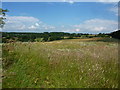 Looking north towards Morleymoor in Little Eaton & Stanley Ward