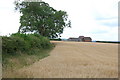 Across a Field of Barley to Old Barn from Egg Lane in ST18 0PX