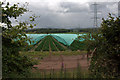 Polytunnels east of Meigle in PH12 8RB