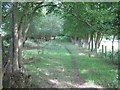 Footpath past Troy Town Wood in TN8 6SJ