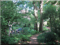 Woodland path at King John's Garden in TN19 7AZ