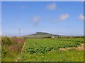 A potato field near Dowrog Common - with Penberi on the horizon in St. David's Community