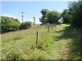 Path above Bridford Wood in TQ13 8SU