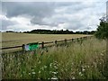 Wheatfield by the roundabout in WF9 5LN