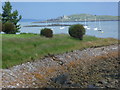 View of Inchcolm from Donibristle in KY11 9DD