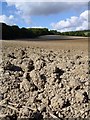 Ploughed field, Row Wood in GU34 2FS