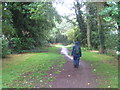 The Thames Path opposite Chertsey Meads in TW17 9NU