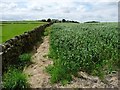 Public footpath at field edge in BD15 0BT