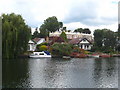 Houses on Sunbury Court Island in TW16 5LJ