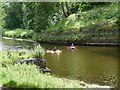 Canoes on the River Wansbeck in NE63 8XS