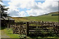 Sheep pens and barn, Newarkburn in TD7 5EU