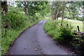 Road above Forneth in PH10 6SP