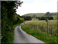 Narrow lane to Pant-y-rhedin farm in Llangurig Community