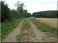 Farm track off Soft Lane in DN19 7JE