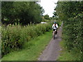 Cyclist heading east on the Kennet and Avon canal path, National Cycle Route 4 in BA14 6LQ