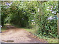 Footpath to Buckleswood Road & entrance to Fisher's Farm in IP16 4TE