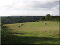 Bales in a field in BS30 6NJ