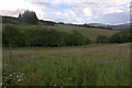 View over the valley of Dounie Burn, near Kirkmichael in PH10 7LU