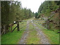 Gated Forestry track in SY18 6RZ