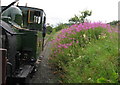 Welshpool & Llanfair Light Railway near Cyfronydd in SY21 9EU