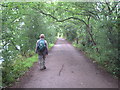 The Thames Path downstream from Kew Railway Bridge in TW9 2EQ