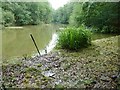 Fishing lake between Sidney Wood and Little Rickhurst Copse in GU8 4NR