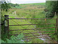 Field gate access to bridleway over common land in LD3 9ND