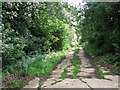 Bridleway skirting the former Halesworth airfield in Halesworth & Blything Ward